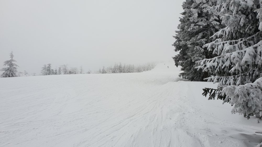 20190213_121149.jpg