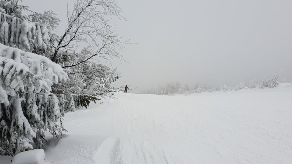 20190213_121152.jpg