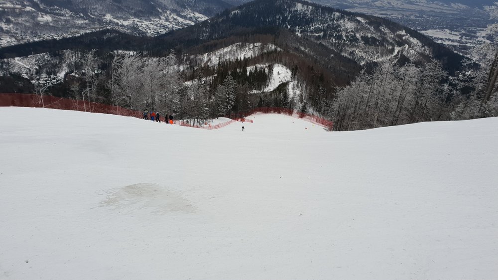 20190213_121330.jpg