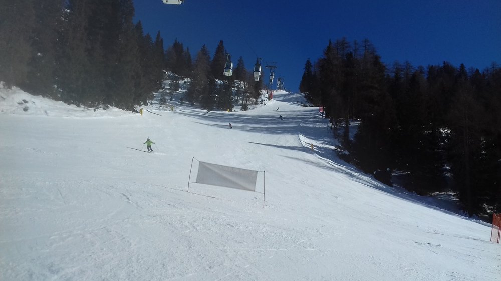 20190213_133644.thumb.jpg.2572991b78729a241ea6c9ce3dd354a4.jpg