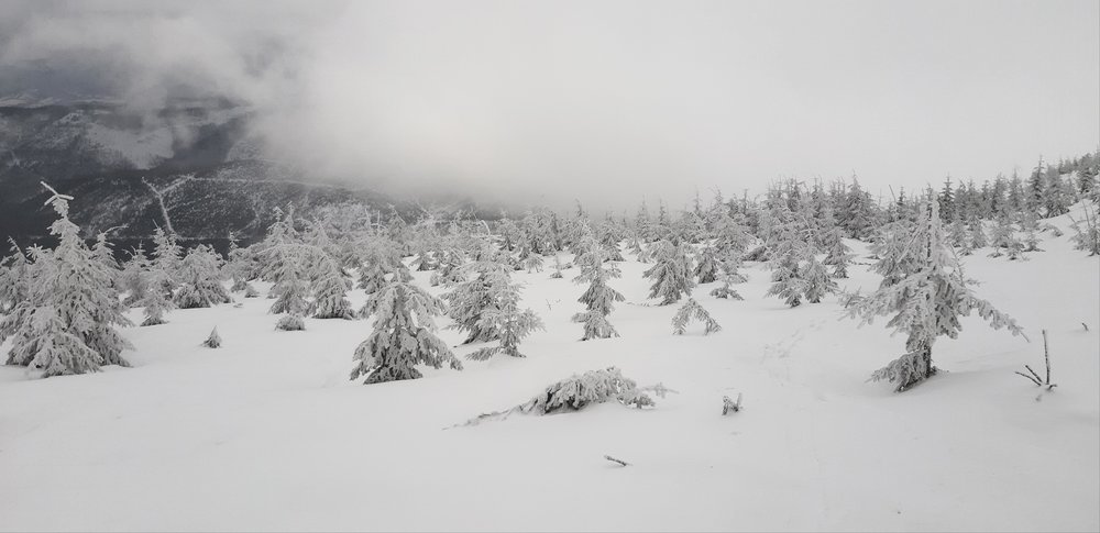 20190213_135757.jpg