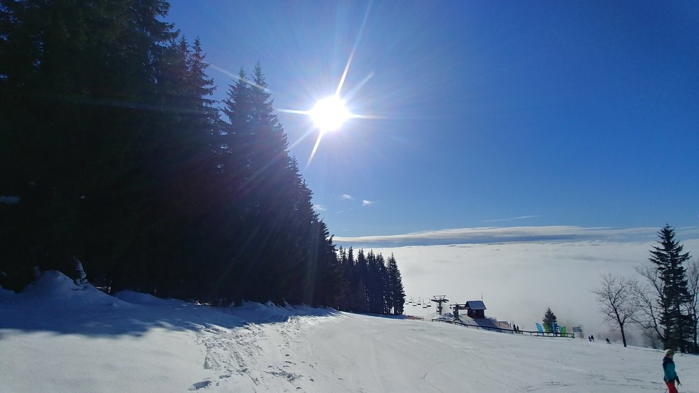 20190214_110435_HDR.jpg