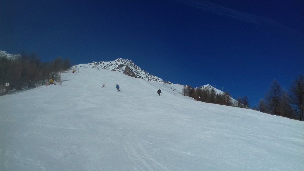 20190214_120743.thumb.jpg.280ad8a8187fc3cb2dbae4ead00499c2.jpg
