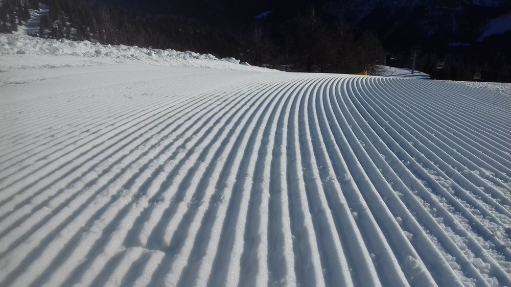 20190215_090247.thumb.jpg.3874755026c13b4457db0c6336a455cf.jpg