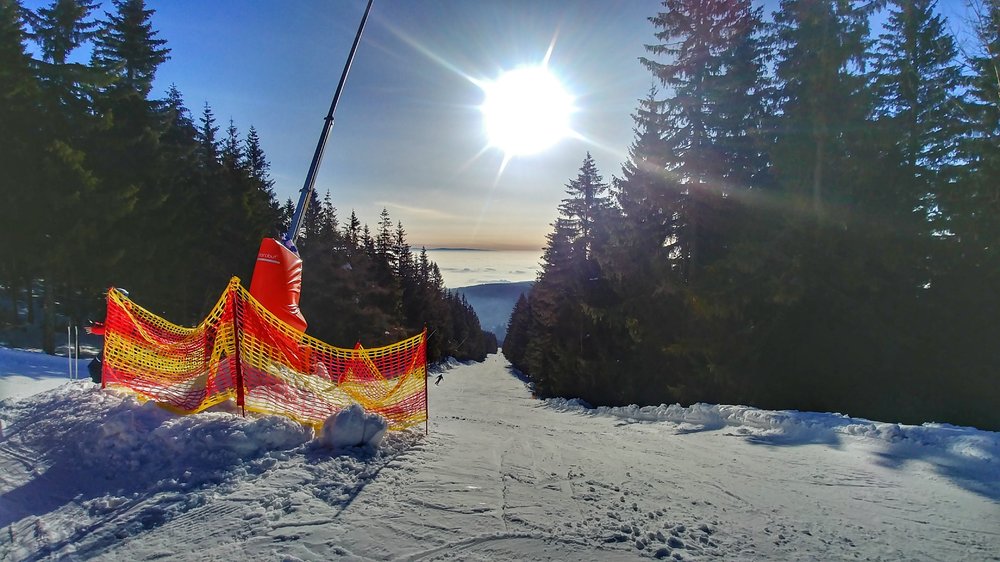 20190215_092448_HDR-01.jpeg