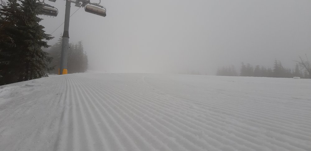 20190215_102809.jpg
