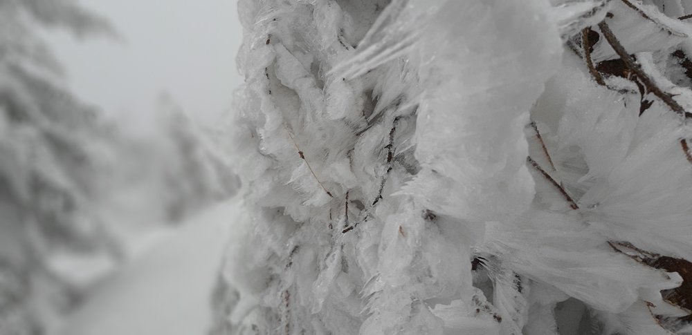 20190215_105850.jpg