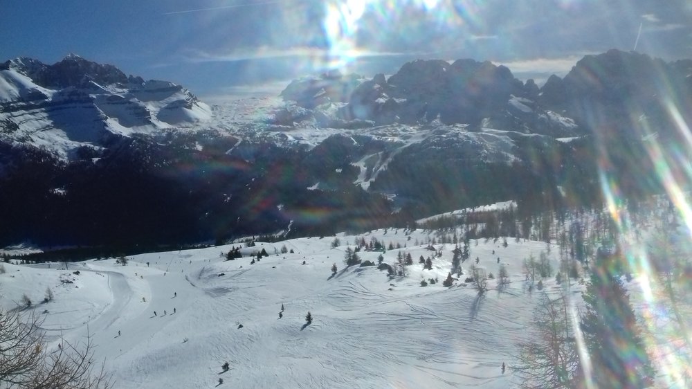 20190215_110054.jpg