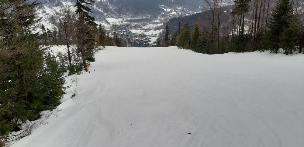 20190215_111157.jpg