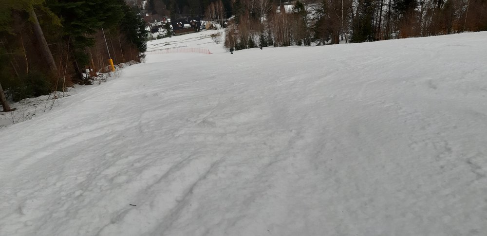 20190215_111605.jpg