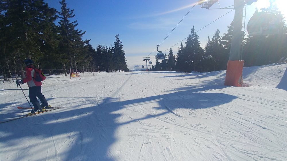 20190215_133541.jpg