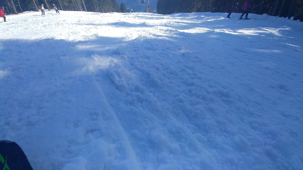 20190215_140152.jpg