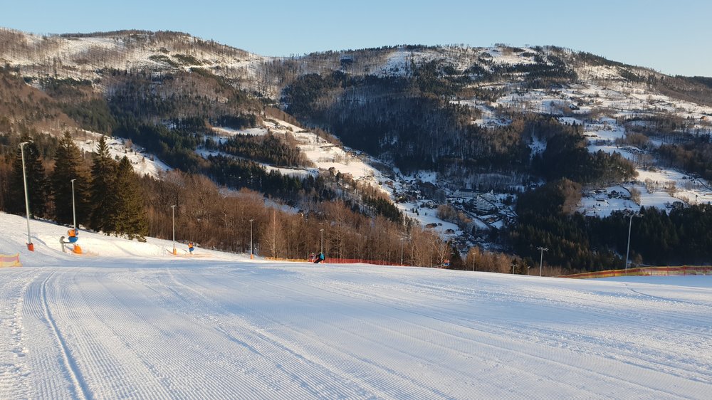 20190216_074448.jpg