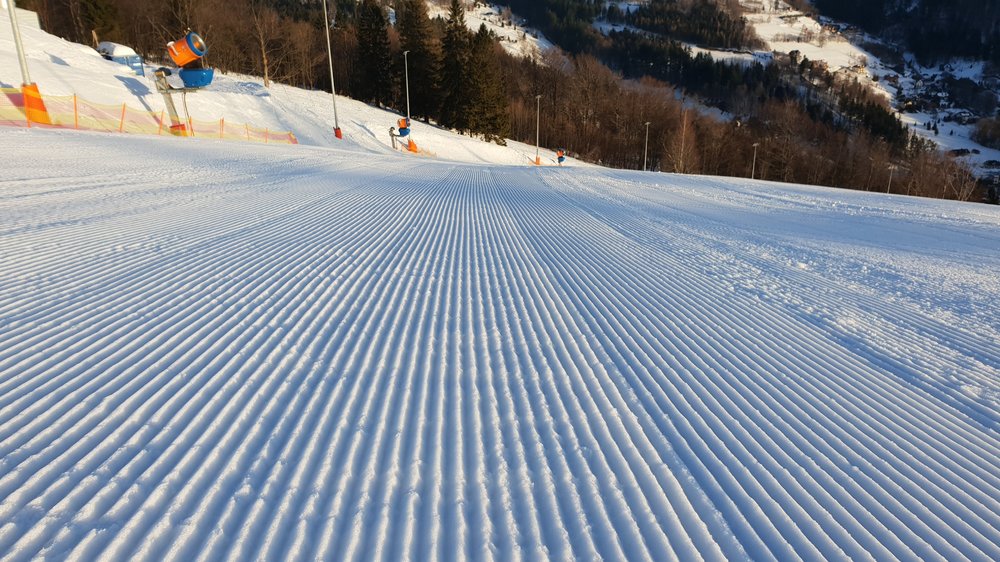 20190216_074501.jpg