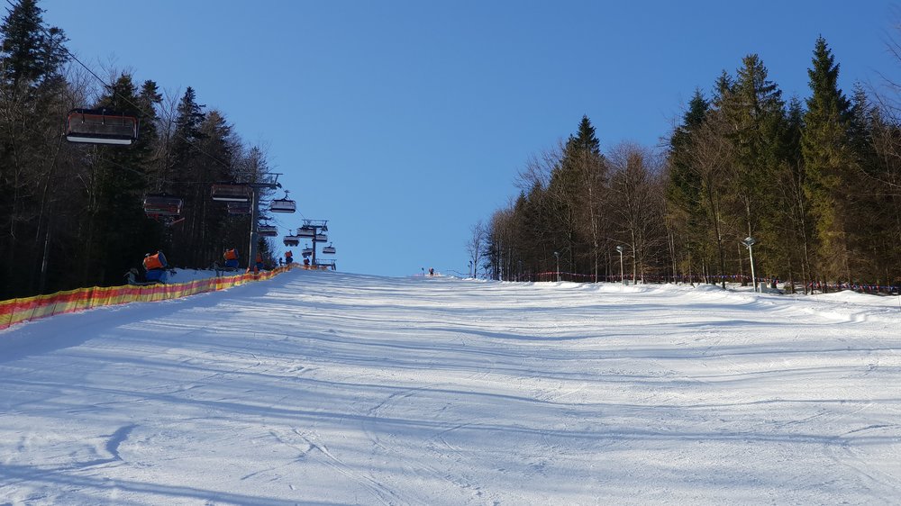 20190216_100425.jpg