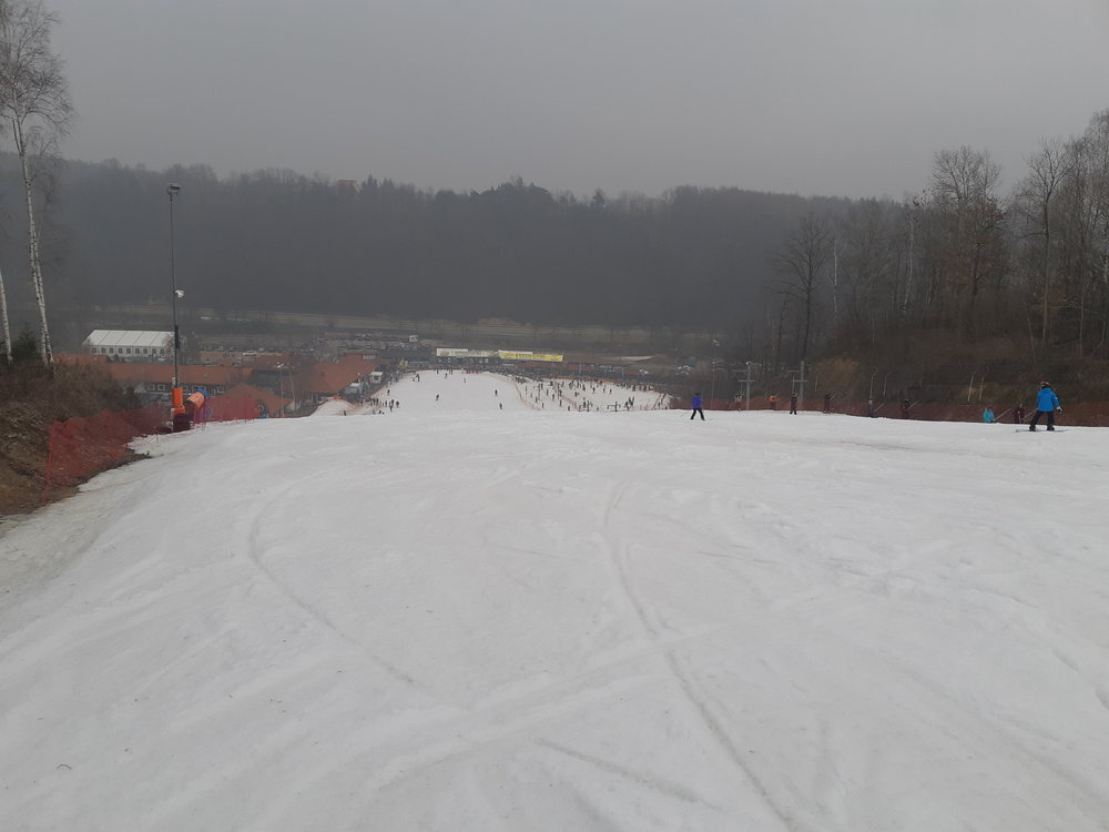 20190216_122801.jpg