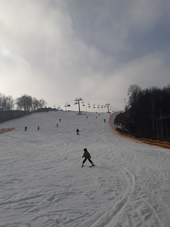 20190216_131020.jpg