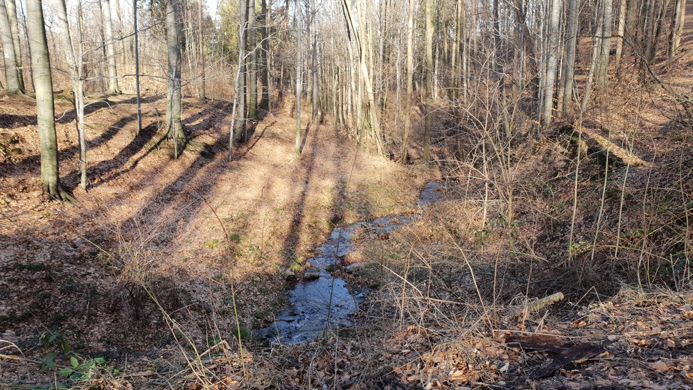 20190216_140404.jpg