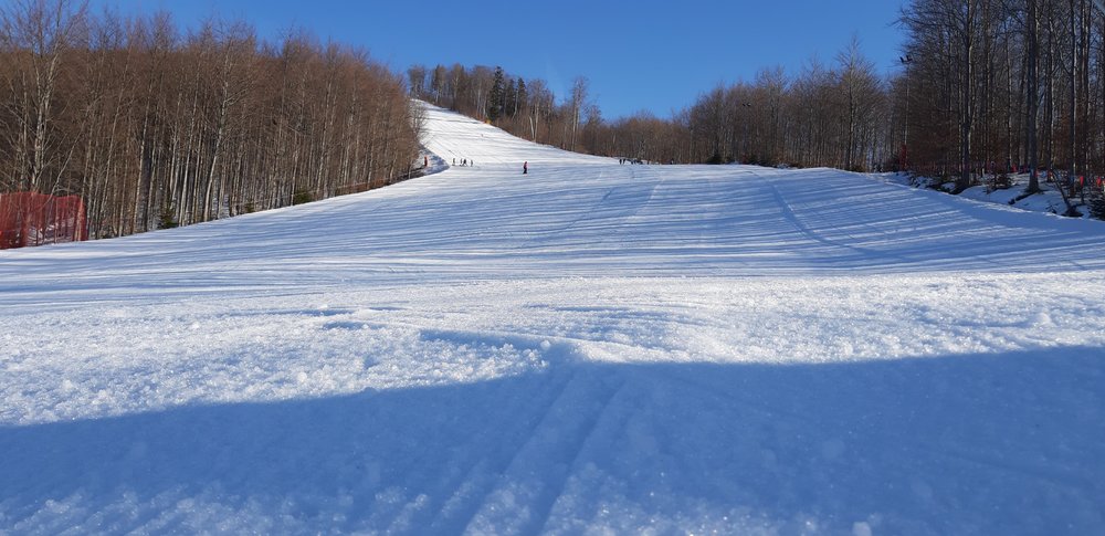 20190217_091016.jpg