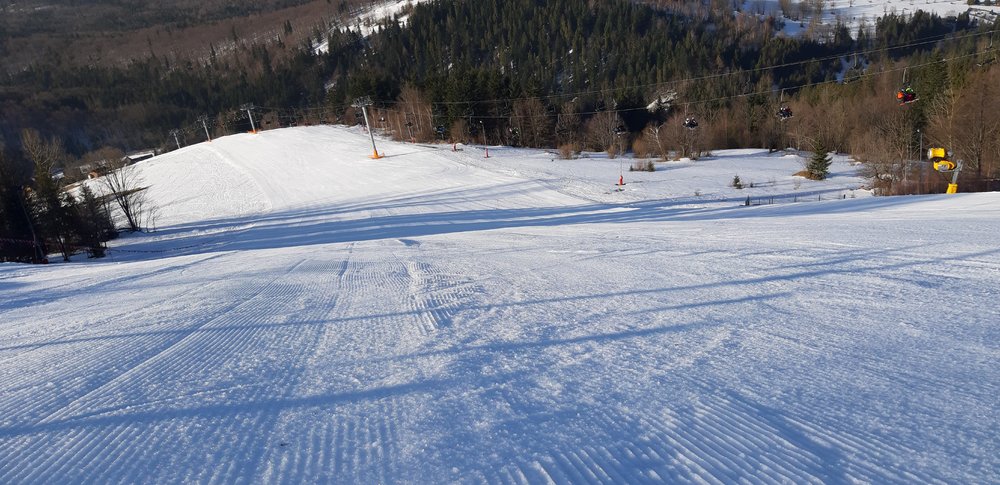 20190217_091022.jpg
