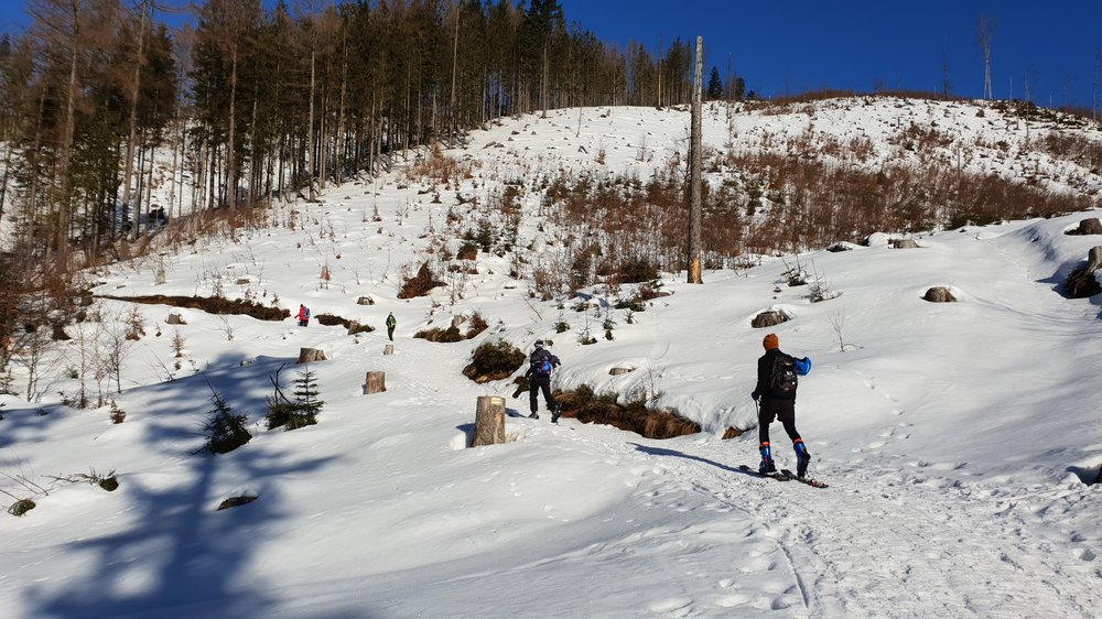 20190217_092436.jpg