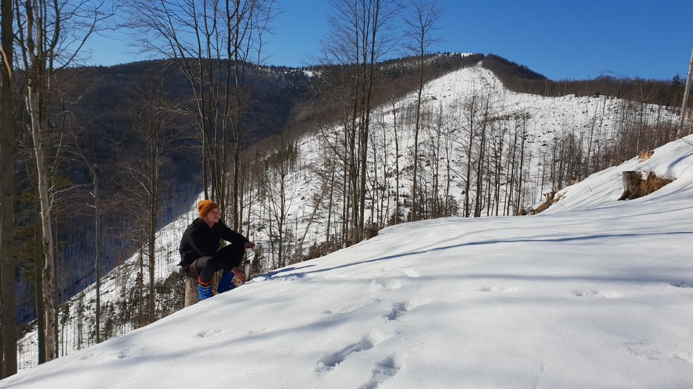 20190217_101454.jpg
