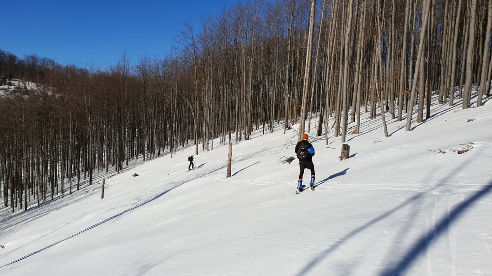 20190217_102702.jpg