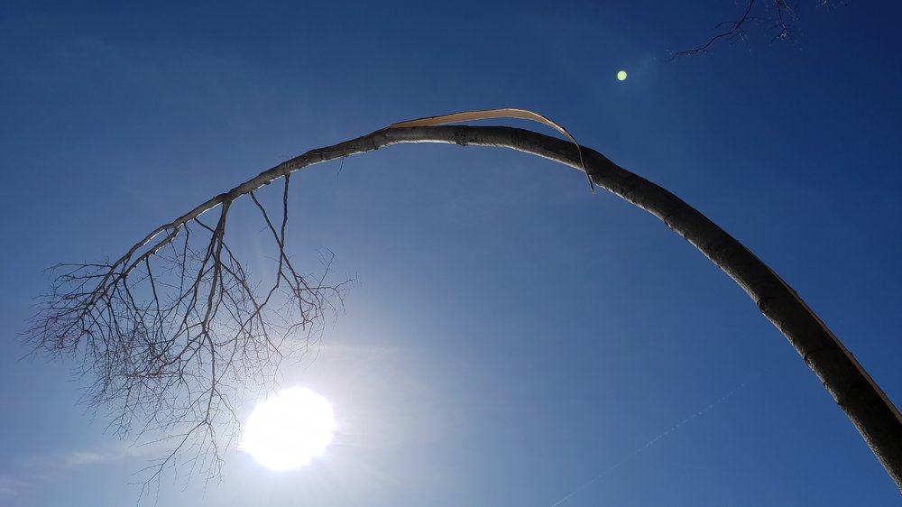 20190217_102859.jpg