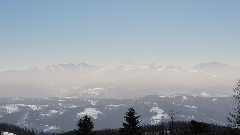 20190217_112637.jpg