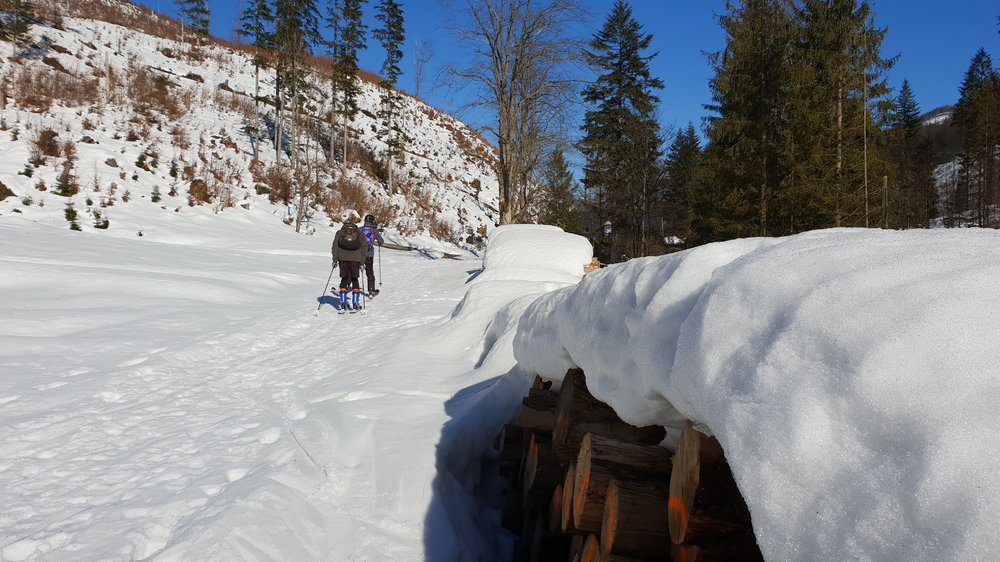 20190217_125012.jpg