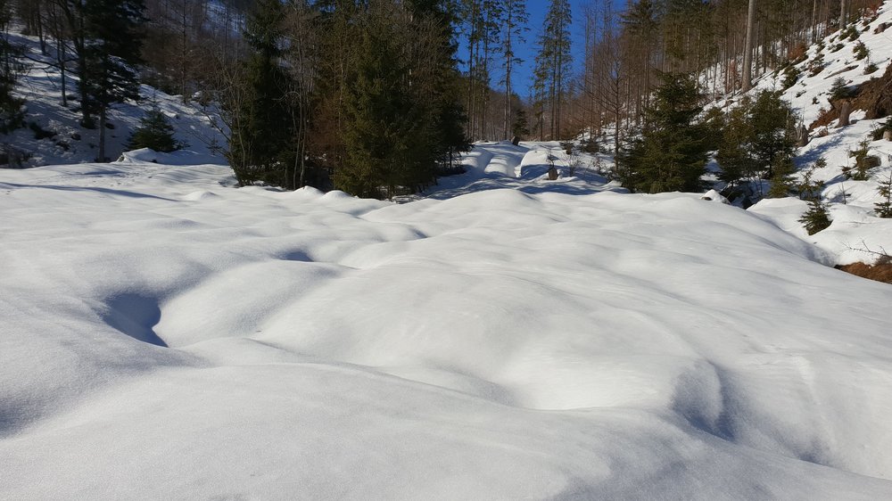20190217_125102.jpg