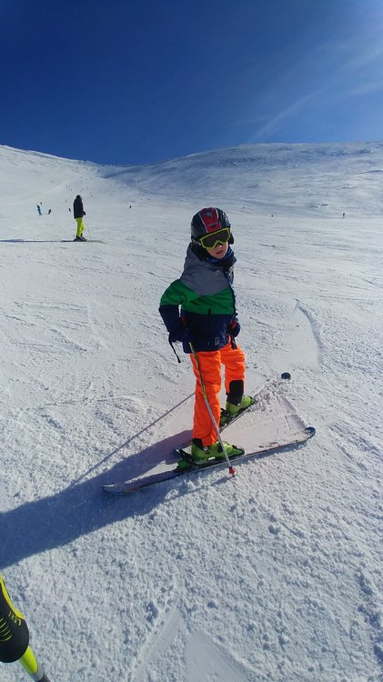 20190218_123648.jpg