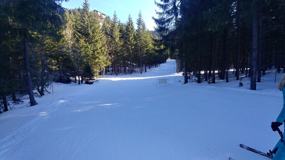 20190218_132250_HDR.jpg