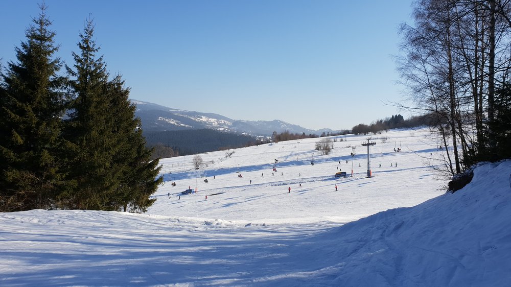20190219_100545.jpg