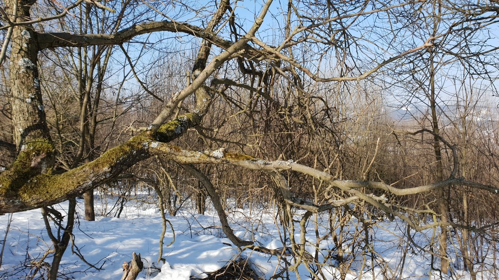 20190219_120715.jpg