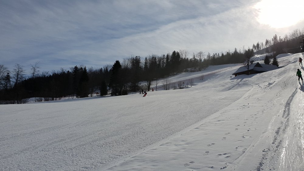 20190223_093545.jpg