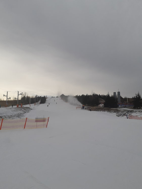 20190223_104828.jpg