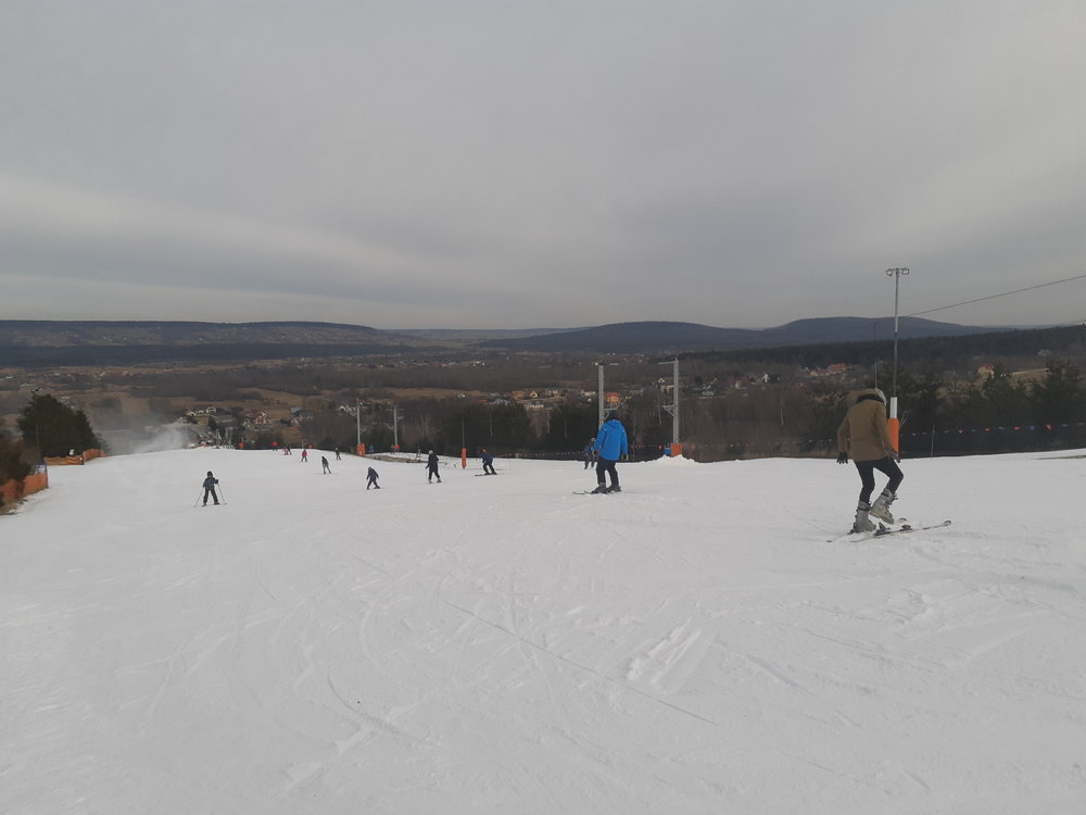 20190223_110215.jpg