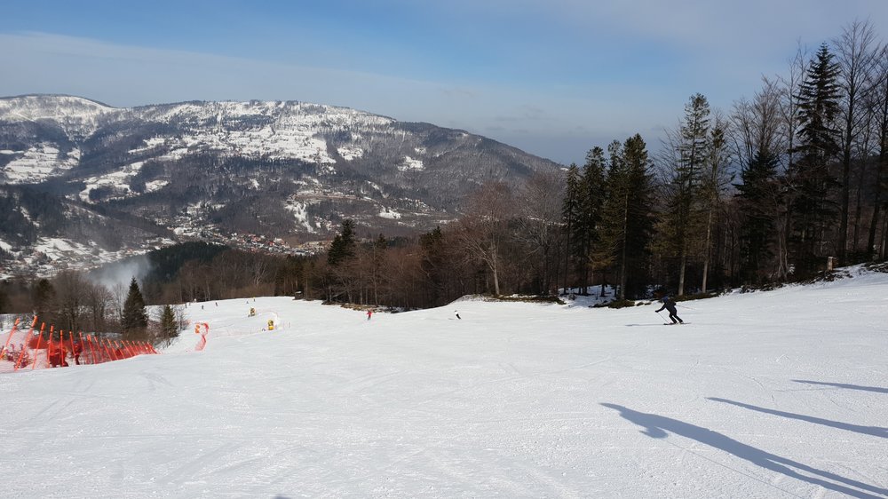 20190223_111706.jpg