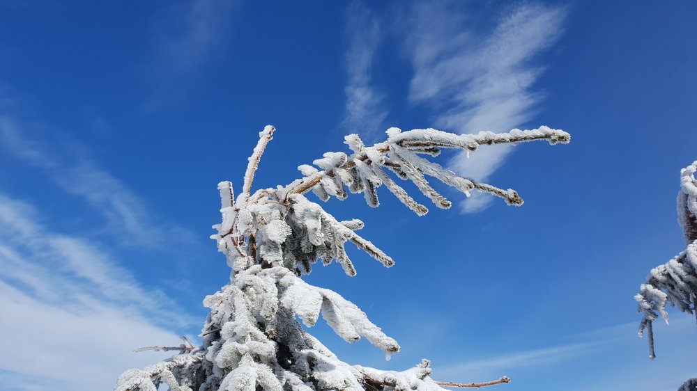 20190223_122732.jpg