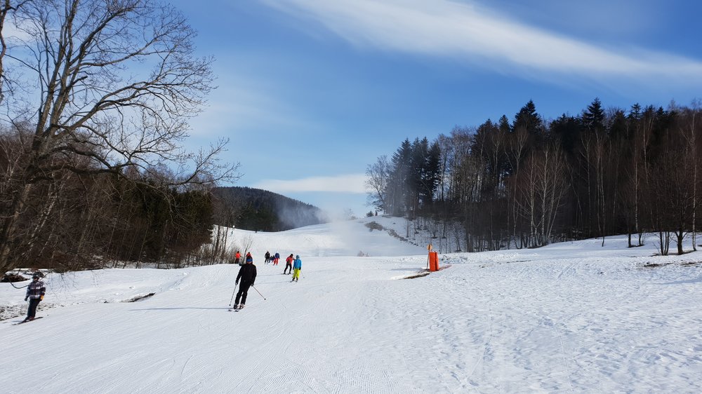 20190223_123800.jpg
