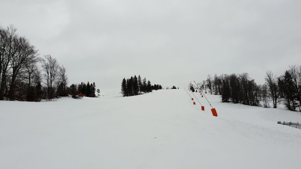 20190224_081538.jpg