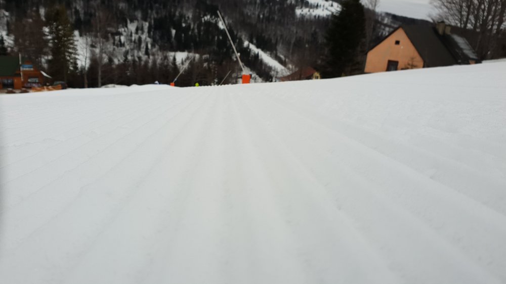 20190224_081609.jpg