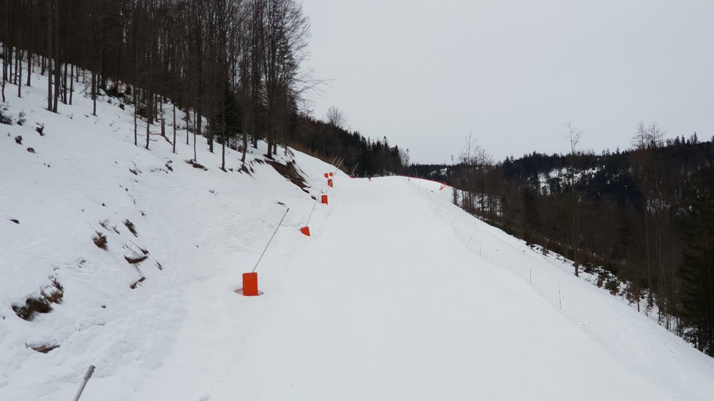 20190224_083058.jpg