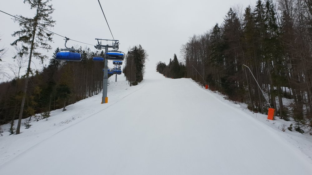 20190224_083131.jpg