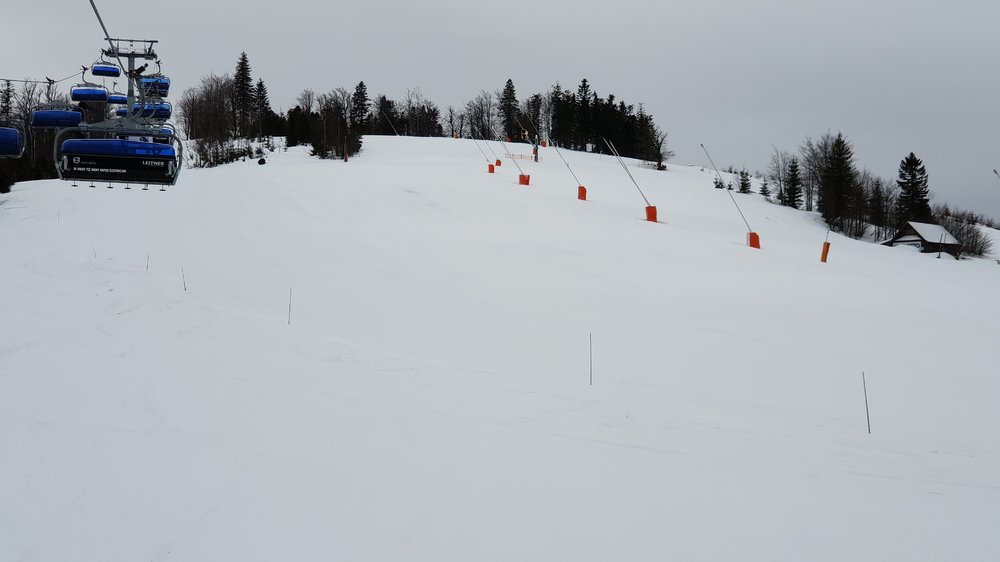 20190224_083418.jpg