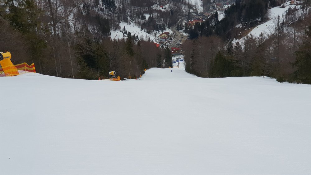 20190224_083834.jpg