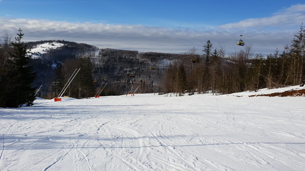 20190224_144307.jpg