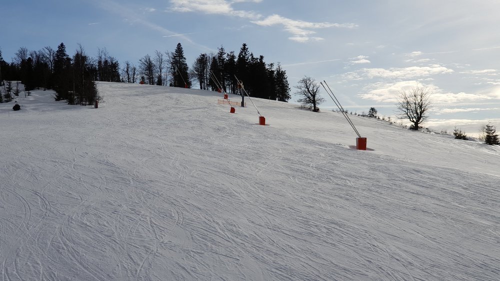 20190224_150203.jpg