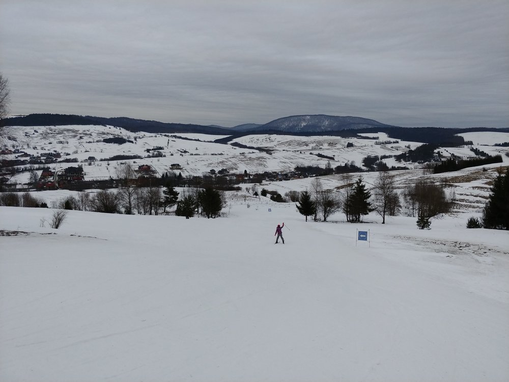 20190224_164925.thumb.jpg.07a010898088f5611f57af4db62844ee.jpg